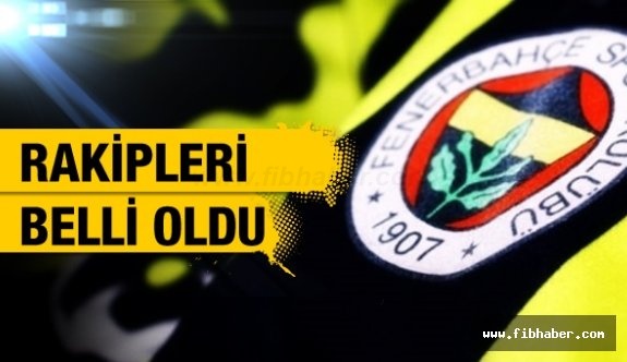 Fenerbahçe Makedon ekibi Vardar İle Eşleşti