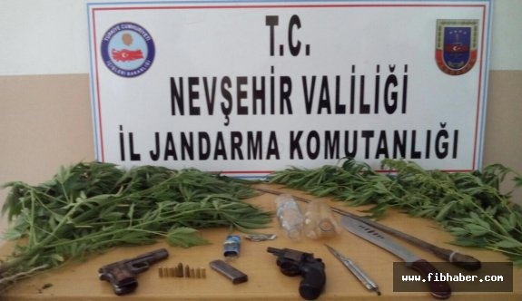 Nevşehir'de esrar, kenevir ve silah ele geçirildi
