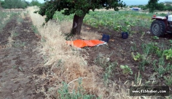 Nevşehir'de tarlada yıldırım çarpan yaşlı kadın öldü