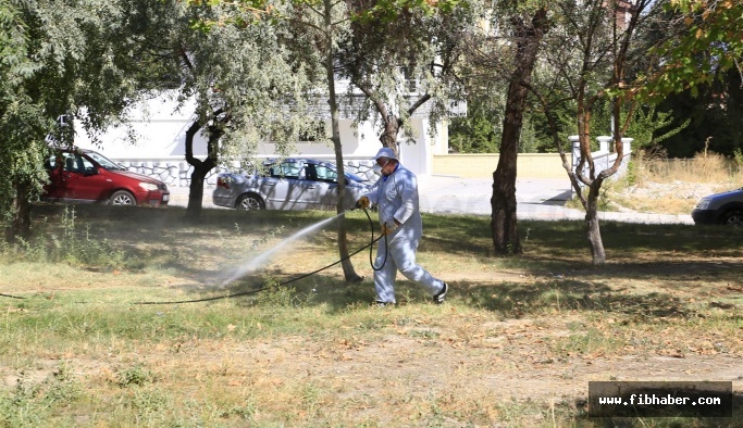 Nevşehir'de Haşere Ve Sineklere Karşı İlaçlama Çalışması Yapılıyor