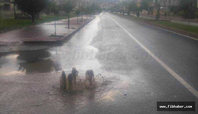 Yağmur yağdı Gülşehir'i sel aldı altyapısı çöktü...