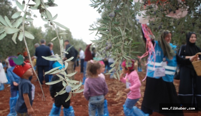Nevşehir İHH, savaşın yetim bıraktığı çocuklarla zeytin topladı