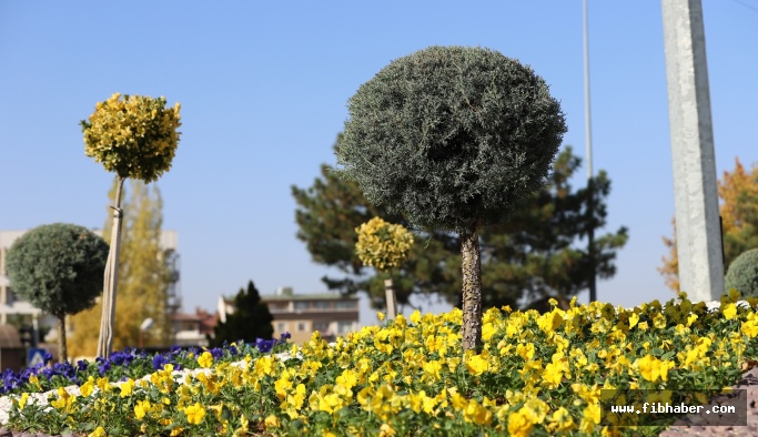 Mevsim Çiçekleri Nevşehir’i Süslüyor