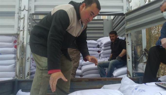 Kozaklı'da 105 ton kırmızı mercimek tohumluğu dağıtıldı
