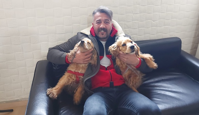 Nevşehir'de bulduğu bu 2 köpeğin sahibini arıyor