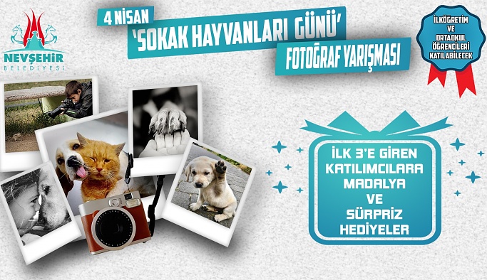 Nevşehir'de Sokak Hayvanları Fotoğraf Yarışması Başvuruları Başladı