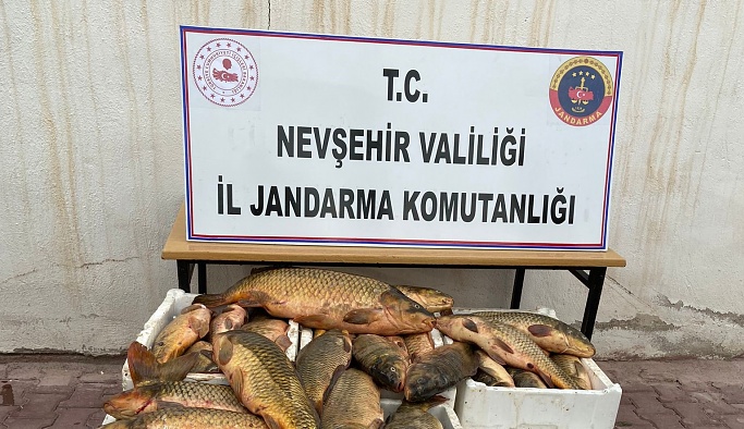 Nevşehir Kızılırmak'ta kaçak avlanan 270 kilo balık ele geçirildi