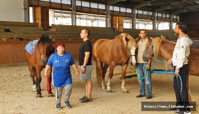 NEVÜ ATBİN At Destekli Terapi ve Aktivitelerde Atların Hazırlanmasında Eğitmenlerin Eğitimi Erasmus+  Projesi Doğrultusunda Prag’da