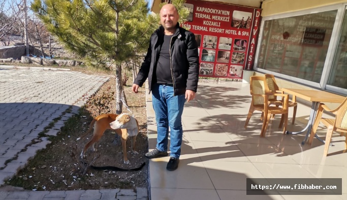 Nevşehir'in Topaklı köyünde pitbull alarmı!