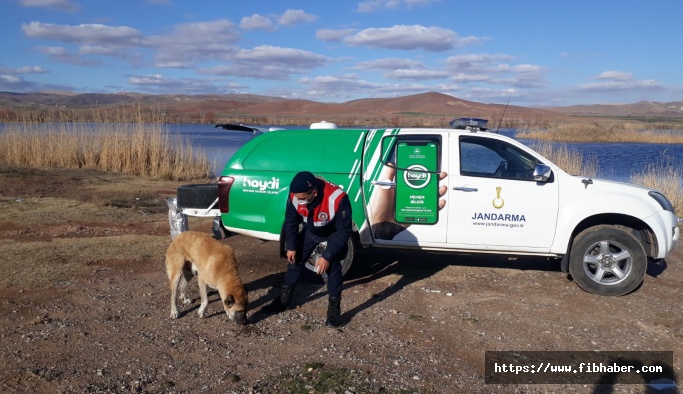 Nevşehir Jandarma'nın Doğa Ve Hayvanları Koruma Timi Görev Başında