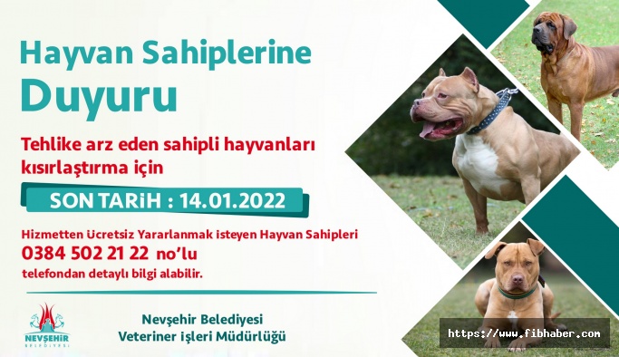 Nevşehir'de Yasaklı Irk Köpekler Ücretsiz Kısırlaştırılacak