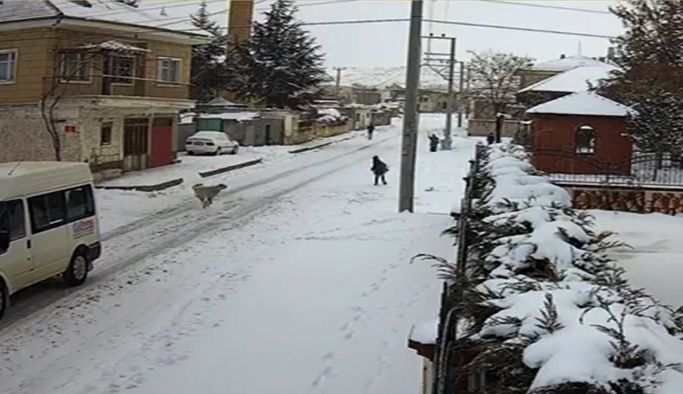Nevşehir’de 8 yaşındaki çocuğa köpek saldırısı kamerada