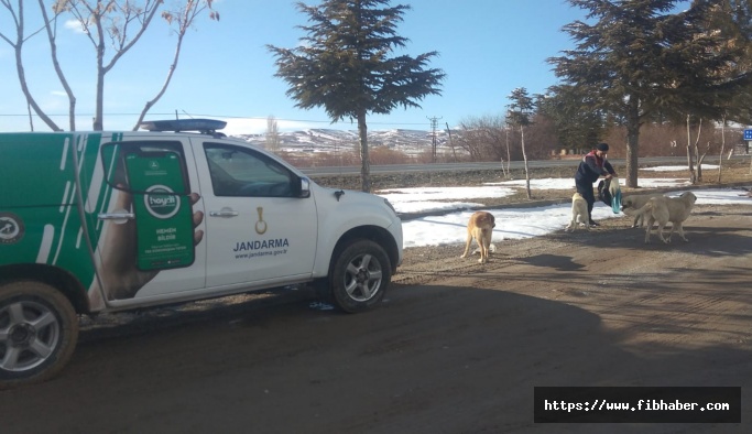 Nevşehir Jandarma’nın doğa ve hayvanları koruma timi görev başında
