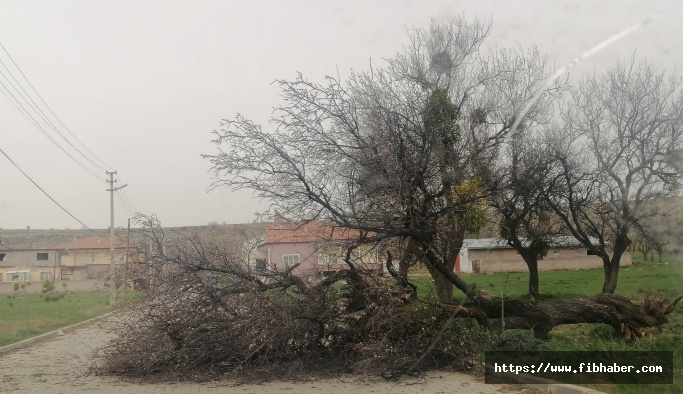 Çatılar uçtu, ağaçlar devrildi! Nevşehir'de korkutan görüntüler