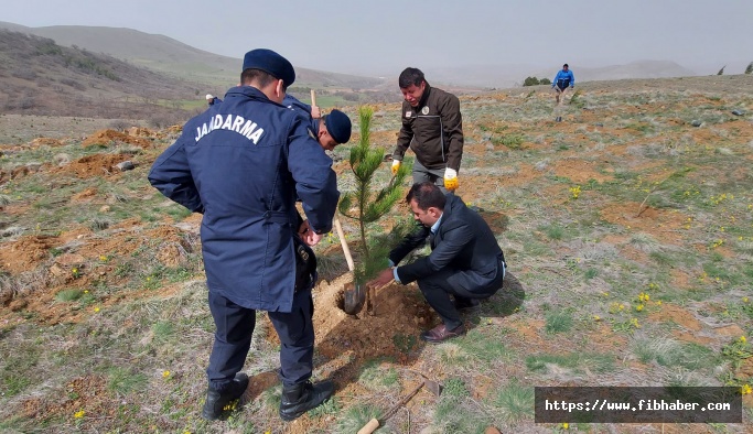 Nevşehir Ziyaret Dağı'nda fidanlar toprakla buluştu