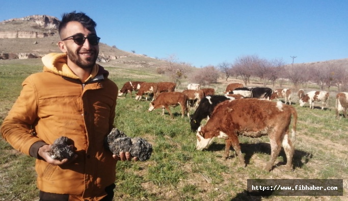 Nevşehir'de çobanlar bu taşın göktaşı olup olmadığını araştırıyor