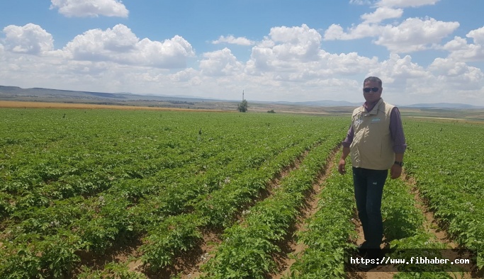 Gülşehir İlçesinde patates tarlaları hastalıklara karşı kontrol ediliyor