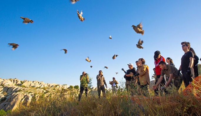 Kapadokya'nın gözbebeği Gomeda Vadisine 200 kınalı keklik bırakıldı