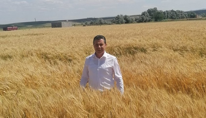 Nevşehir'de hububat çiftçinin yüzünü güldürüyor