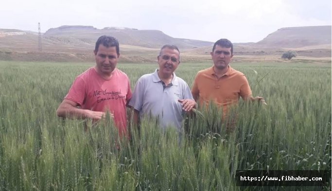 Nevşehir'de sertifikalı tohum ve fide üretimi arttı