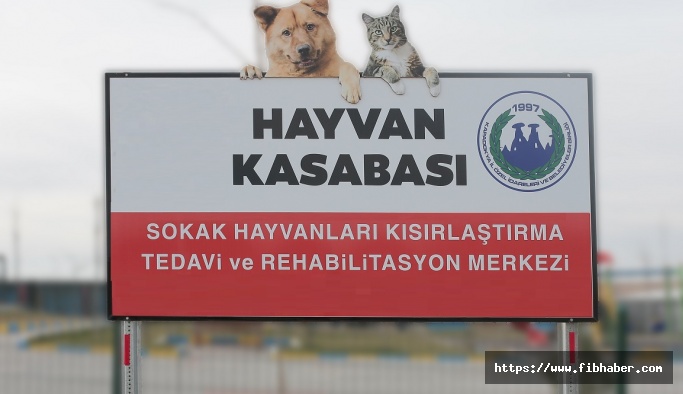 Kapadokya İl Özel İdareleri ve Belediyeler Birliği'nden Açıklama