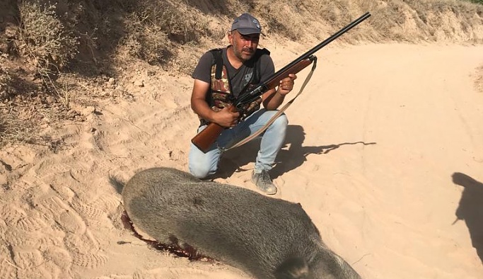 Nevşehir Avanos’ta sürek avında 5 yaban domuzu öldürüldü