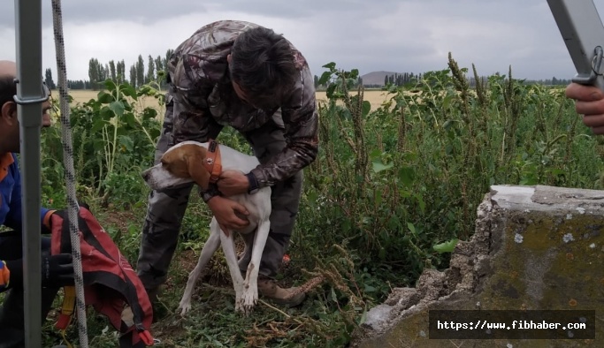 Nevşehir'de su kuyusuna düşen av köpeği kurtarıldı