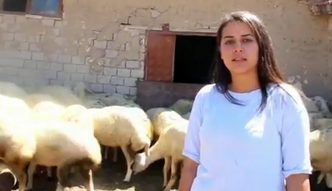 Nevşehir'de genç girişimci hibeyle koyun çiftliği kurdu