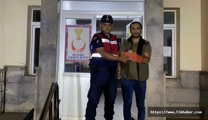 Nevşehir'de Yaralı Atmaca'ya jandarma ekipleri sahip çıktı