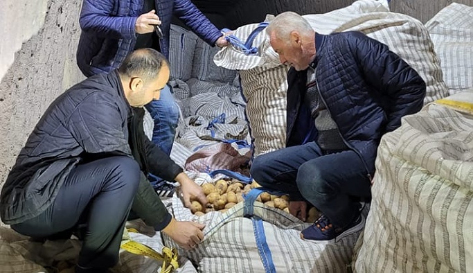 Nevşehir'de Tohumluk Patateslerin Depo Kontrolleri Devam Ediyor