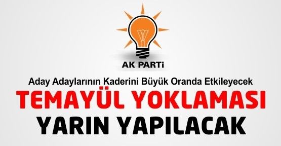 AK Parti Nevşehir'de Yarın Temayül Yoklaması Yapılacak