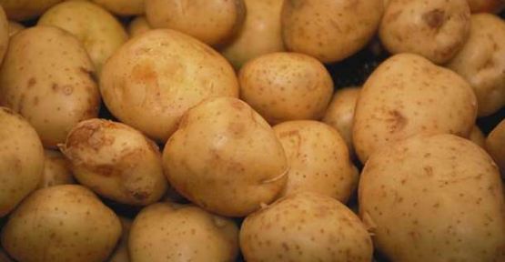 Nevşehir Bölgesi Patatesleri Şirketlerin Elinde